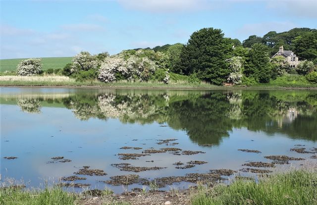Reflections on the Eden
